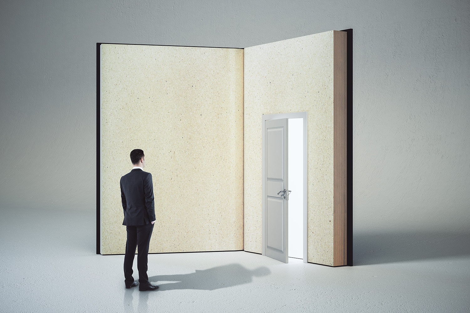 Book is door. Двери book. Приоткрытая дверь книга. Книга Doors. Книга как дверь.